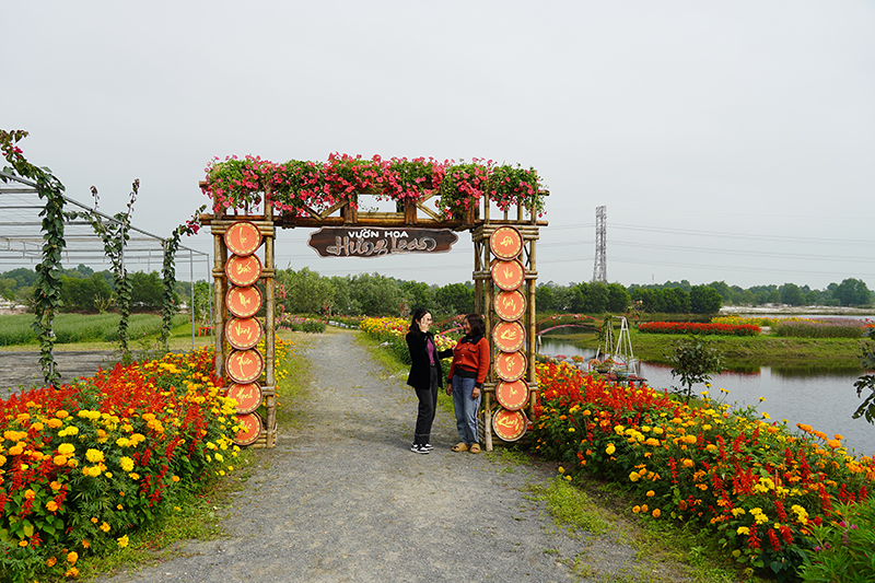 Hiện vườn hoa Hưng Loan đã bắt đầu mở cửa đón khách đến tham quan trong dịp Tết Giáp Thìn 2024.