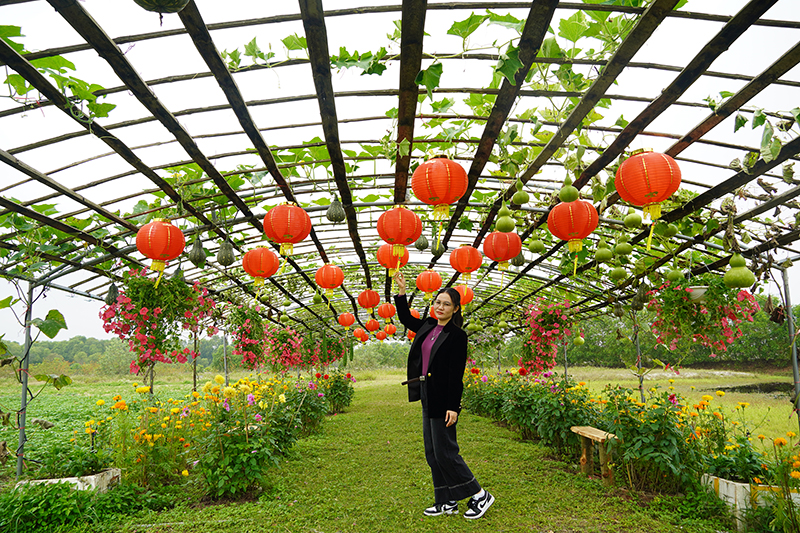 Nhiều tiểu cảnh và không gian đẹp được tạo dựng trong vườn hoa Hưng Loan dịp Tết Giáp Thìn.