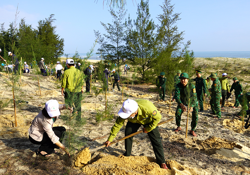 Quang cảnh trồng cây xanh đầu năm tại thôn Bắc Phú, xã Quang Phú, TP. Đồng Hới.