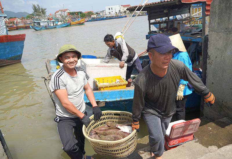 Ngư dân xã Cảnh Dương trúng cá, tôm trong chuyến biển đầu năm mới.