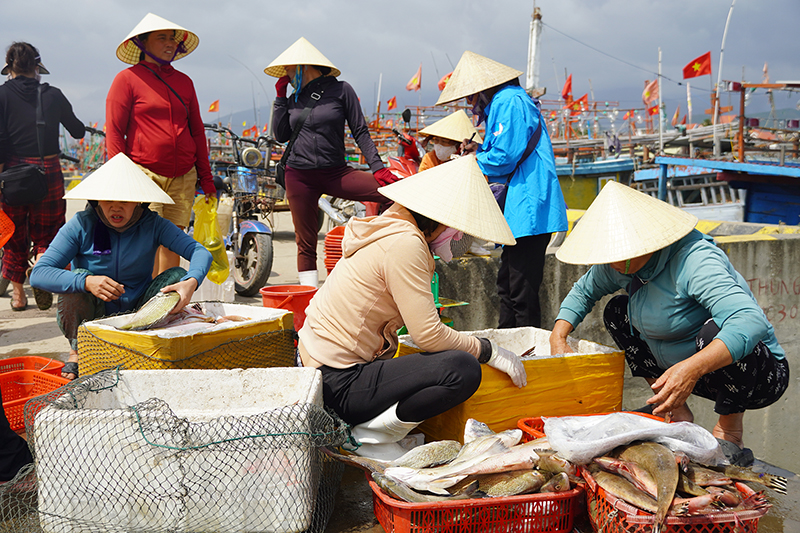 Thương lái thu mua hải sản đầu năm của ngư dân xã Cảnh Dương.