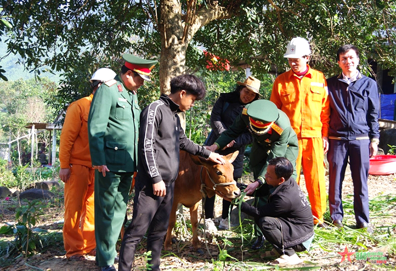Ban CHQS thị xã Ba Đồn và các tổ chức chính trị, xã hội trao bò giống hỗ trợ gia đình thanh niên Phạm Quang Huy. 