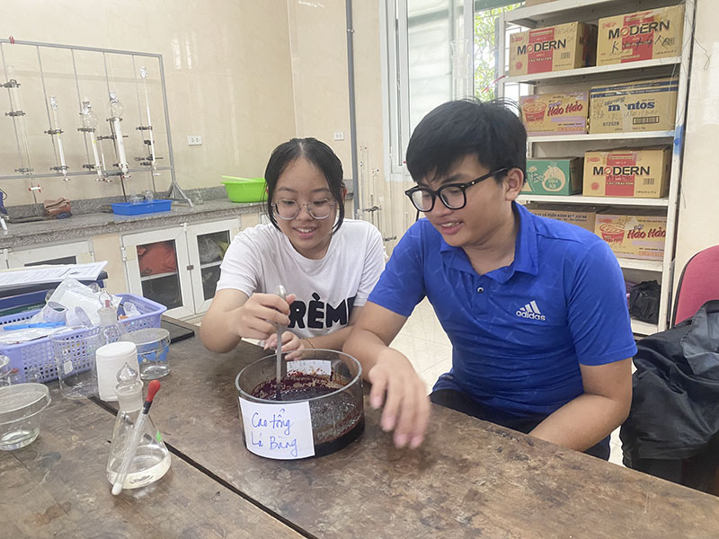 Học sinh Trường THPT Trần Phú tạo thảo dược từ lá bàng