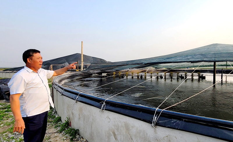 Mô hình nuôi tôm công nghiệp của anh Nguyễn Việt Đức được đánh giá là bước đột phá về quy mô nuôi trồng thủy sản của thị trấn Hoàn Lão.
