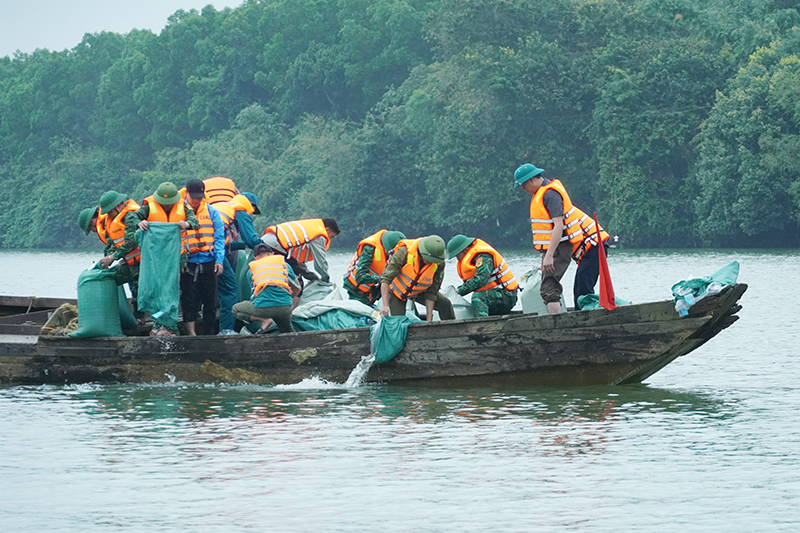 Các đơn vị liên quan tiến hành thả cá ở khu vực sông Kiến Giang.