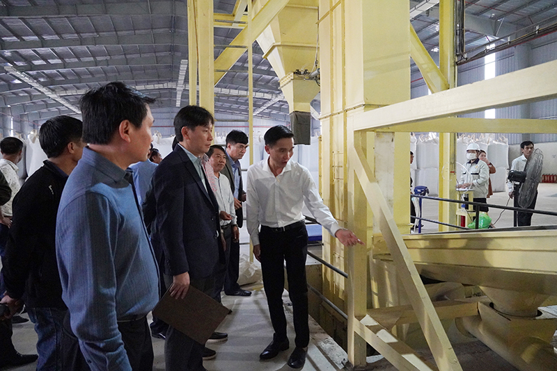 Tham quan mô hình trình diễn kỹ thuật sản xuất viên nén gỗ tại Công ty CP Dũng Nguyệt Anh Quảng Bình.