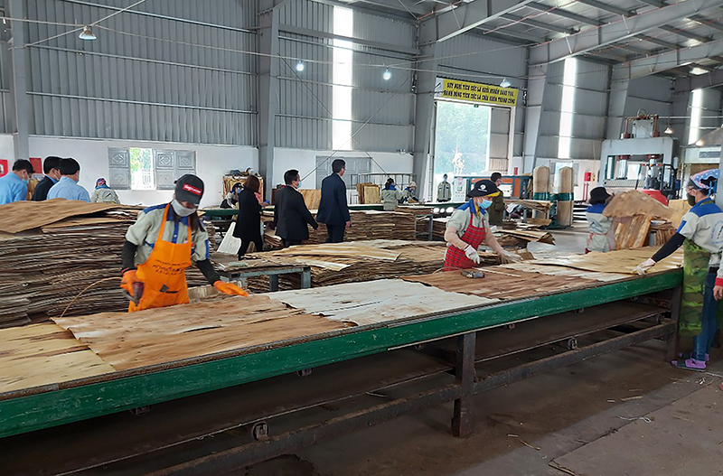 Hoạt động sản xuất tại nhà máy của Công ty CP Gỗ Quảng Phát (KCN Bắc Đồng Hới, xã Thuận Đức, TP. Đồng Hới).