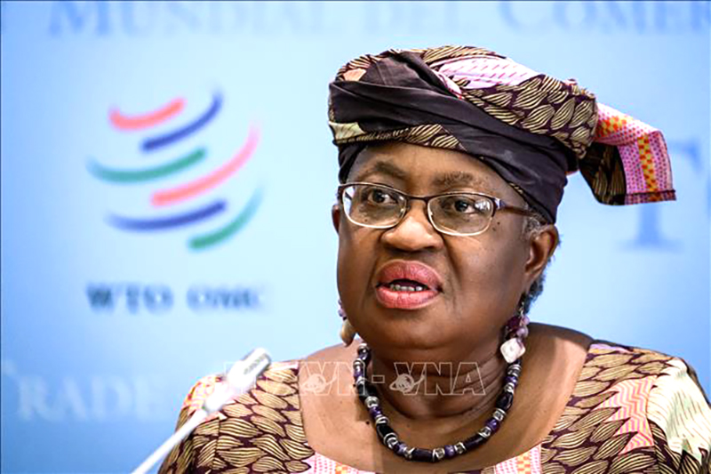 Tổng giám đốc WTO Ngozi Okonjo-Iweala. Ảnh tư liệu: AFP/ TTXVN