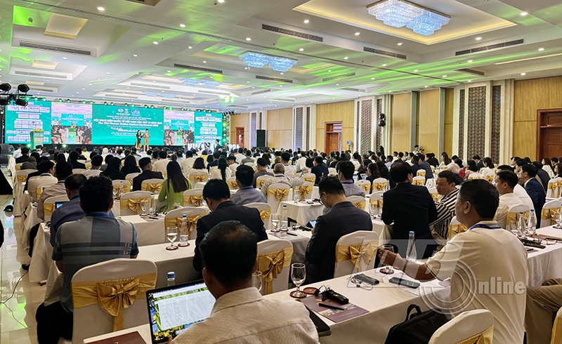 Hội nghị Điều quốc tế luôn là sự kiện xúc tiến thương mại quan trọng của ngành điều Việt Nam