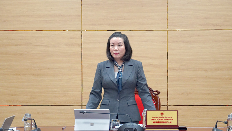 Đồng chí Nguyễn Minh Tâm, Phó trưởng đoàn chuyên trách Đoàn ĐBQH tỉnh kết luận hội nghị