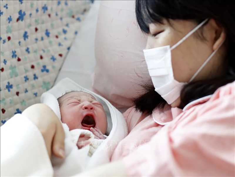 日本の出生率は過去最高を記録している