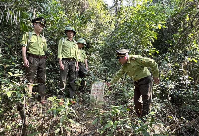 Lực lượng Kiểm lâm Trạm Chà Nòi tuần tra ở khu vực giáp ranh giữa rừng đặc dụng Vườn Quốc gia và rừng cộng đồng.