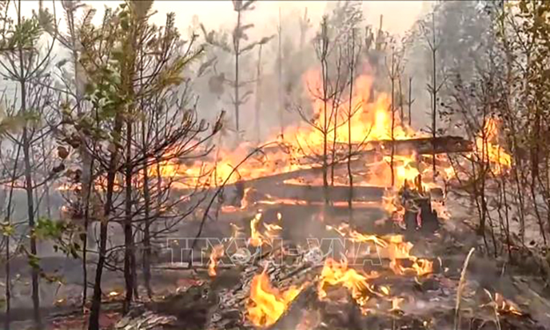 Cháy rừng ở Nga. Ảnh tư liệu: AFP/TTXVN