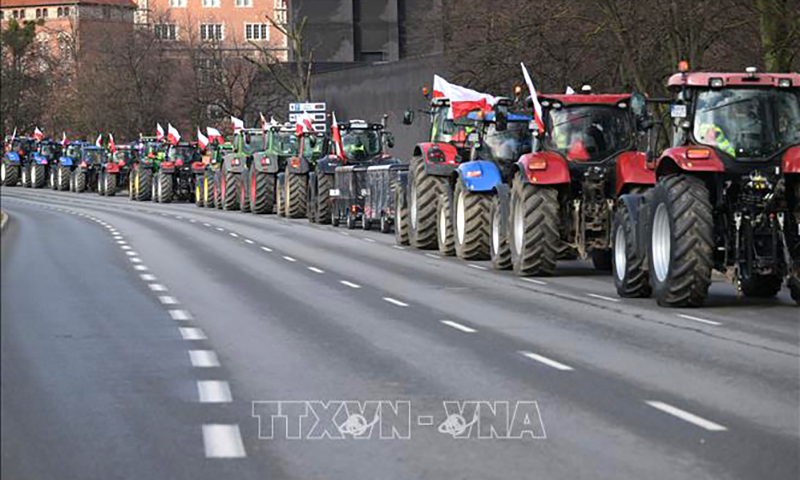 Nông dân Ba Lan tuần hành yêu cầu bãi bỏ các lợi ích mà Liên minh châu Âu (EU) dành cho tài xế xe tải từ Ukraine, tại Gdansk, ngày 20/2/2024. Ảnh: PAP/TTXVN
