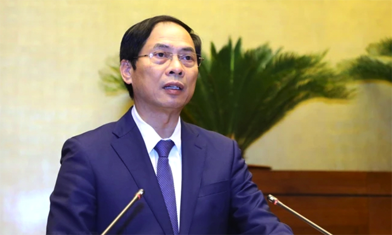 Bộ trưởng Bộ Ngoại giao Bùi Thanh Sơn sẽ trả lời chất vấn tại phiên họp thứ 31 của Ủy ban Thường vụ Quốc hội. (Ảnh: Văn Điệp/TTXVN)