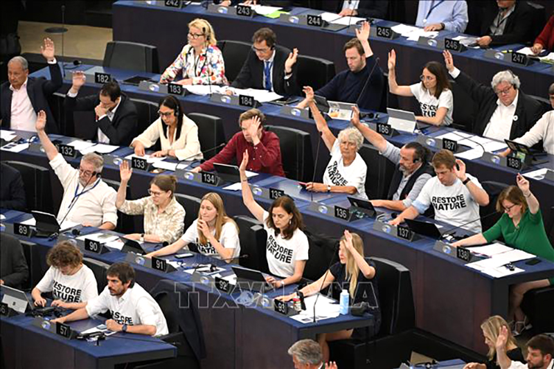 Các nghị sĩ bỏ phiếu thông qua dự luật về đa dạng sinh thái tại cuộc họp Nghị viện châu Âu ở Strasbourg, Pháp, ngày 12/7/2023. Ảnh minh họa: AFP/TTXVN