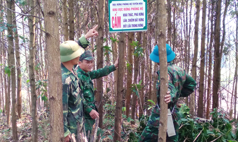 Lực lượng bảo vệ rừng tăng cường cắm biển, bảng cấm lửa ở những khu vực trọng điểm.