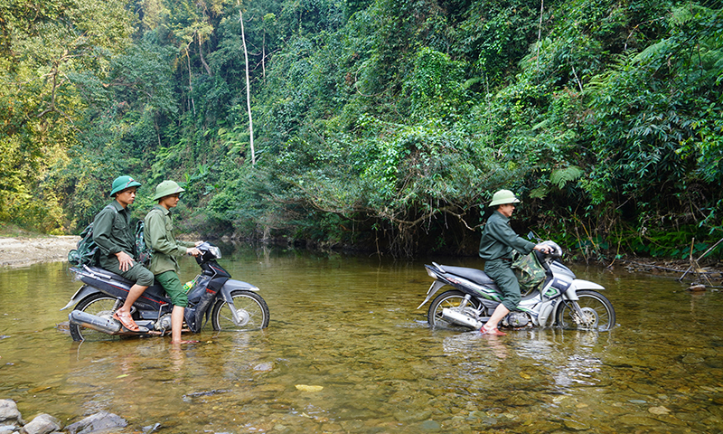 Lực lượng Ban Quản lý rừng phòng hộ huyện Quảng Ninh tuần tra rừng.