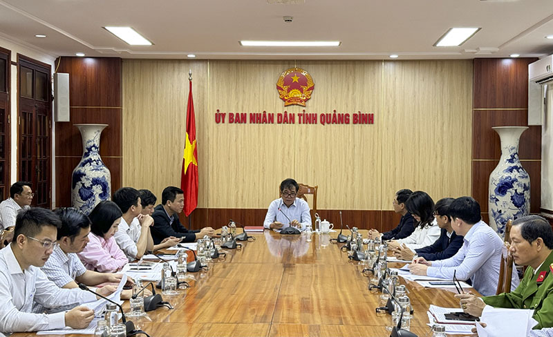     Đồng chí Phó Chủ tịch Thường trực UBND tỉnh Đoàn Ngọc Lâm phát biểu chỉ đạo cuộc họp