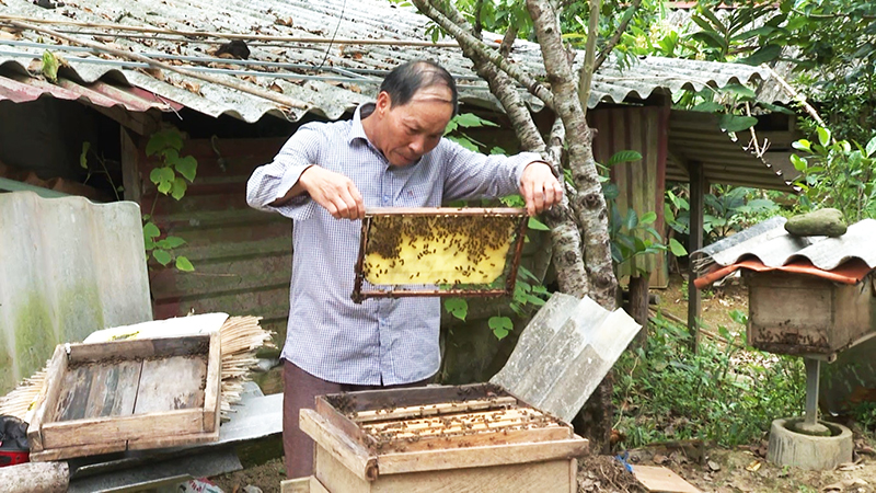 Sản phẩm mật ong của HTX Nông nghiệp Hóa Sơn được công nhận đạt tiêu chuẩn OCOP.