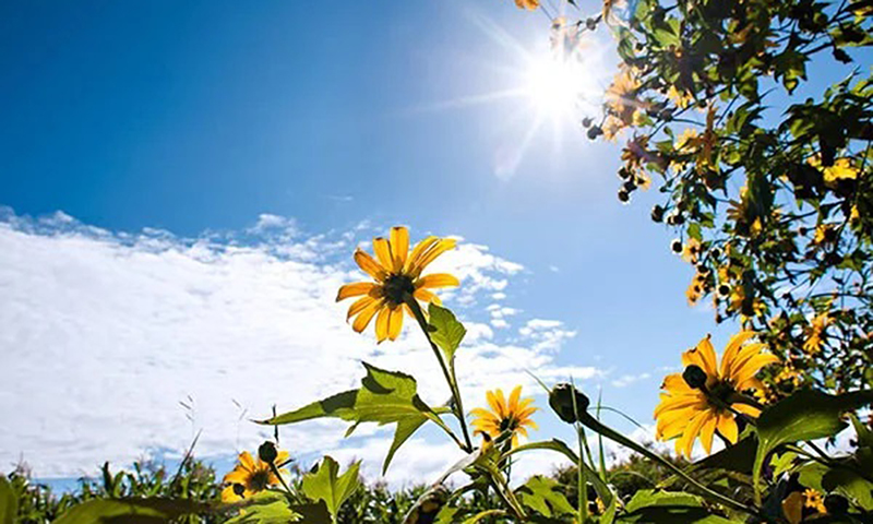 Giọt nắng tháng tư