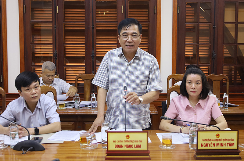  Đồng chí Phó Chủ tịch Thường trực UBND tỉnh Đoàn Ngọc Lâm phát biểu tại buổi làm việc.