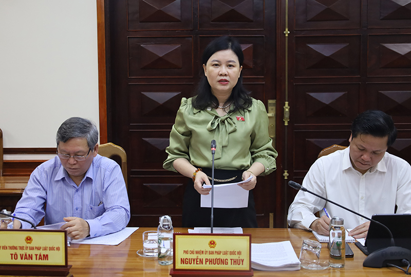 Đồng chí Phó Chủ nhiệm Ủy ban Pháp luật Quốc hội Nguyễn Phương Thủy phát biểu kết luận buổi làm việc.