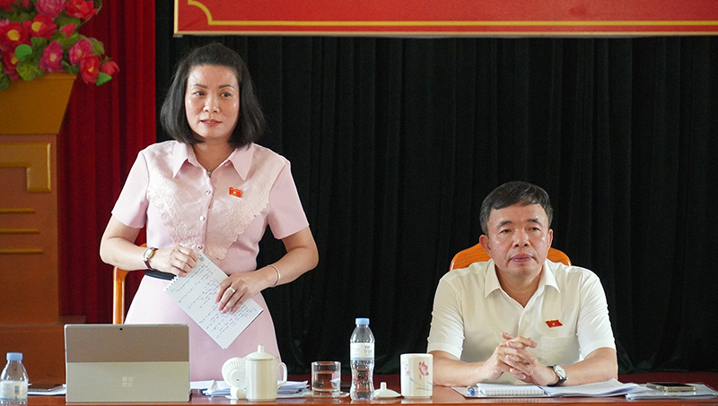  Đồng chí Phó trưởng đoàn chuyên trách Đoàn ĐBQH tỉnh Nguyễn Minh Tâm phát biểu kết luận tại buổi giám sát