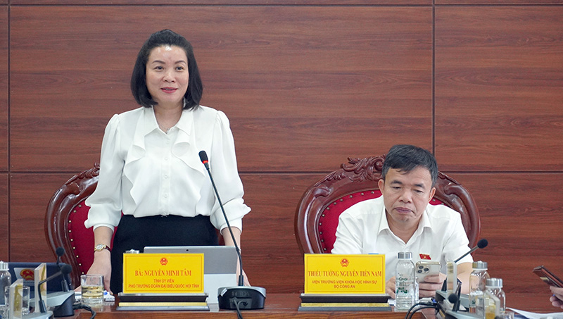 Đồng chí Phó Trưởng đoàn chuyên trách Đoàn ĐBQH tỉnh Nguyễn Minh Tâm phát biểu tại buổi giám sát