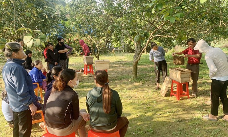 Trung tâm Giáo dục nghề nghiệp-Giáo dục thường xuyên huyện Tuyên Hóa hướng dẫn nghề nuôi ong cho học viên.