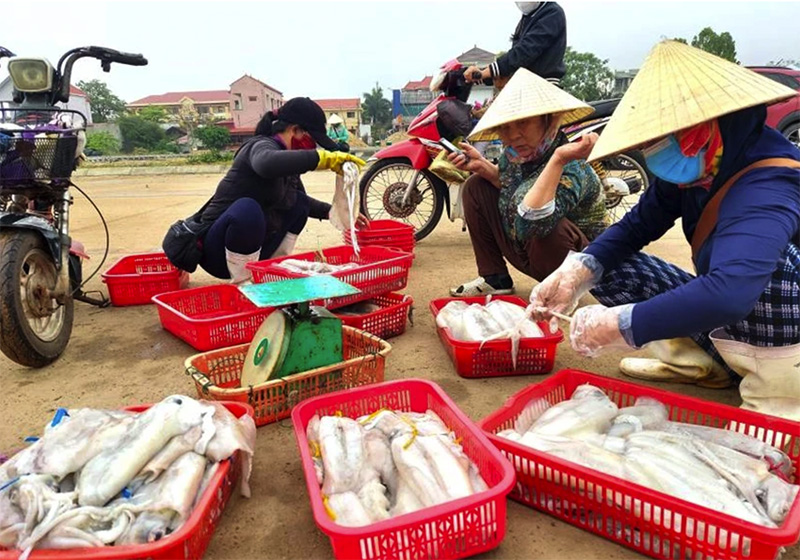 Cảnh mua bán hải sản ngay trên bến cá Cảnh Dương.