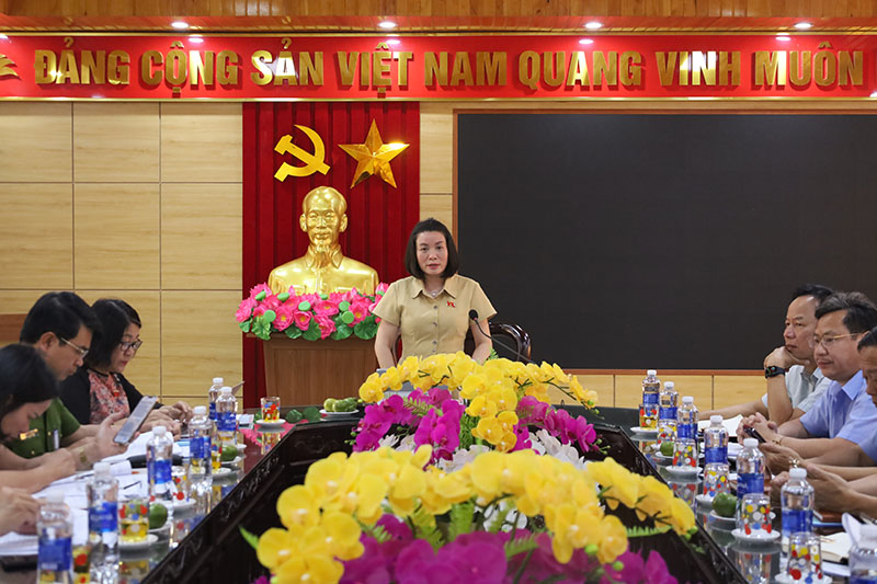  Đồng chí Phó trưởng đoàn chuyên trách Đoàn ĐBQH tỉnh Nguyễn Minh Tâm chủ trì buổi giám sát.