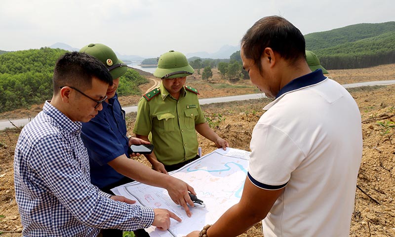 Kiểm tra thực địa trồng rừng gỗ lớn ở huyện Quảng Ninh.