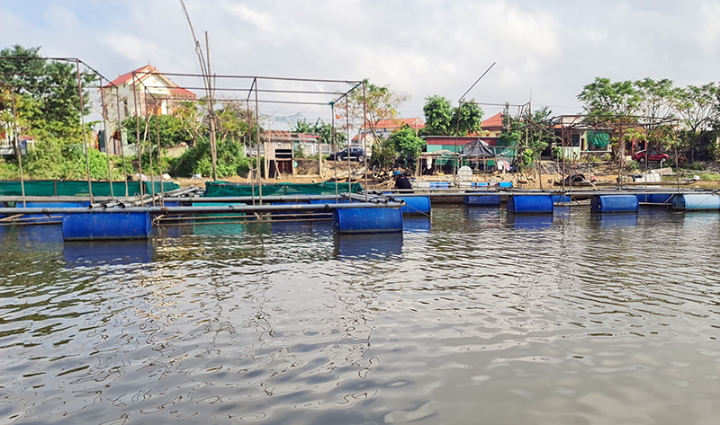 Nhiều diện tích nuôi trồng thủy sản trên địa bàn huyện Quảng Ninh được mở rộng.