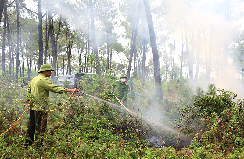 Các đơn vị, địa phương và người dân diễn tập phòng cháy, chữa cháy rừng.