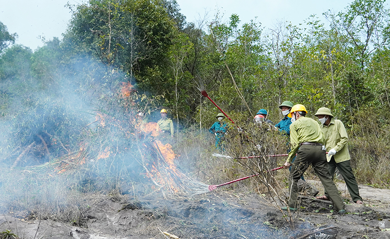 Quang cảnh buổi diễn tập chữa cháy rừng tại khoảnh 2, tiểu khu 622 thuộc phân Khu dịch vụ hành chính VQG PN-KB.