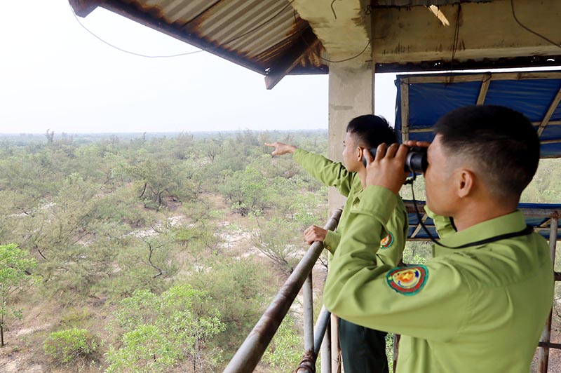 Cán bộ Trạm bảo vệ rừng Dinh Mười (BQL RPH Đồng Hới và ven biển tỉnh Quảng Bình) túc trực tại chòi canh.