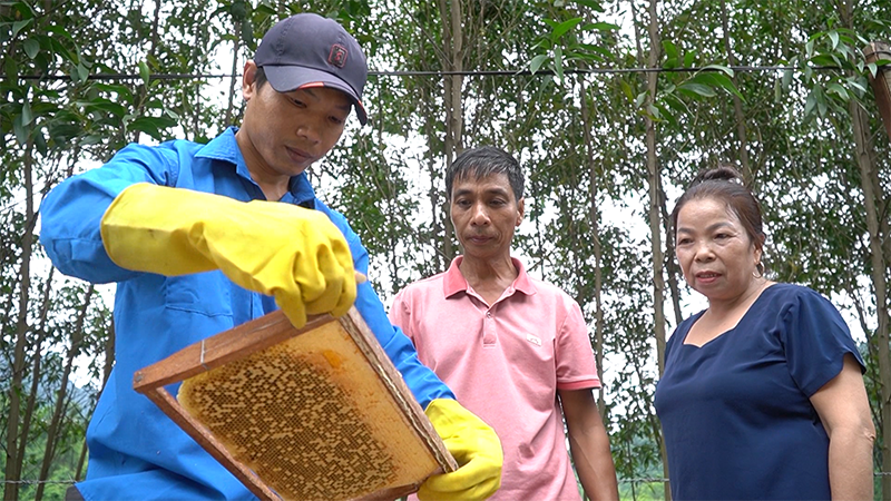 Tham gia HTX Nuôi ong lấy mật đại ngàn Trường Sơn, người dân có nhiều cơ hội giới thiệu, quảng bá sản phẩm.
