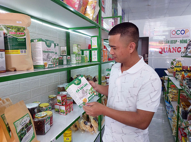 Các sản phẩm dược liệu Thanh Bình được bày bán nhiều cửa hàng.