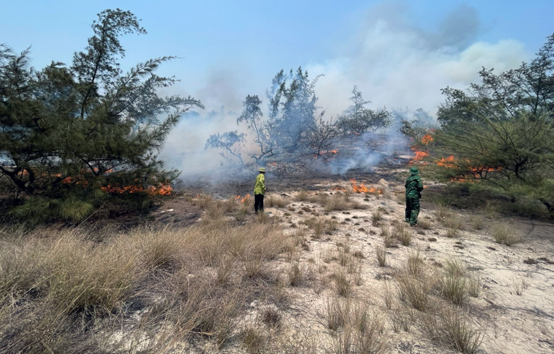 Các lực lượng tham gia chữa cháy rừng tại xã Hải Ninh.
