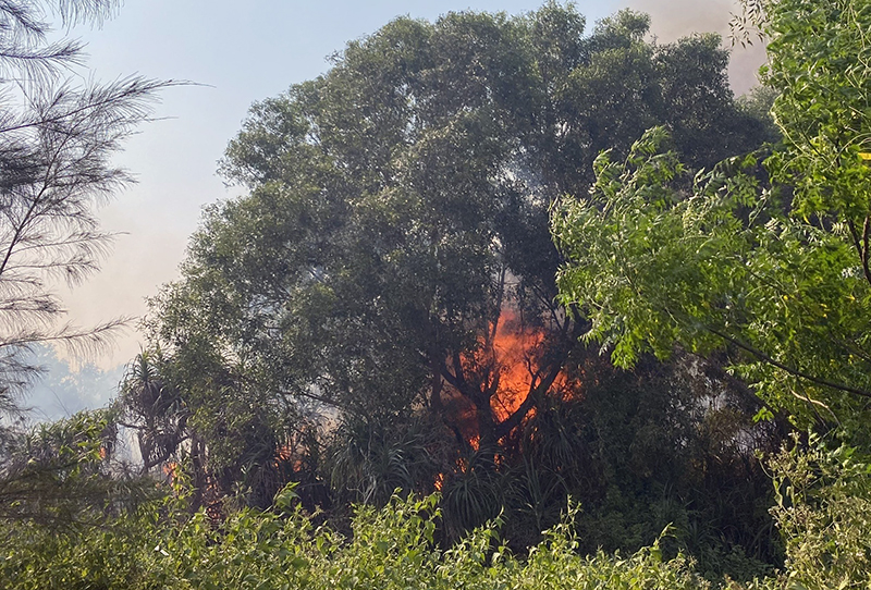 Hiện trường vụ cháy rừng tại Hải Ninh.
