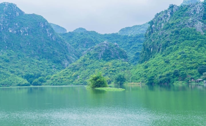 Cho non nước bình yên