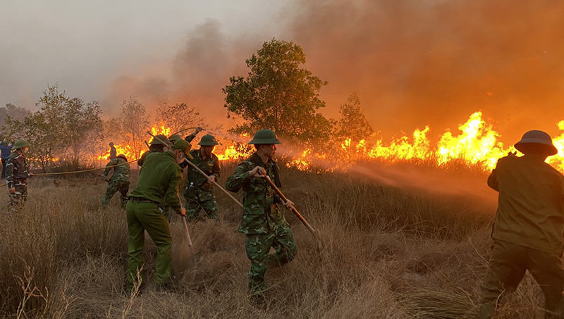 Cán bộ, chiến sĩ Đồn Biên phòng Nhật Lệ tham gia chữa cháy rừng tại xã Hải Ninh (huyện Quảng Ninh)