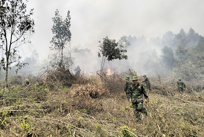 Các lực lượng chức năng và người dân tham gia chữa cháy rừng.