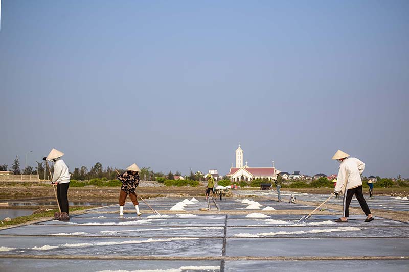 Thời tiết nắng nhiều, năng suất muối của diêm dân xã Quảng Phú đạt cao.