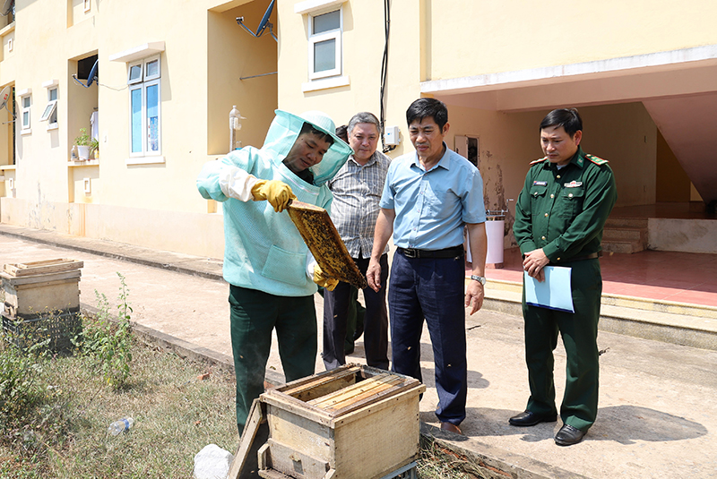 Đồn Biên phòng Cồn Roàng đã nuôi thực nghiệm 30 thùng ong mật bản địa.