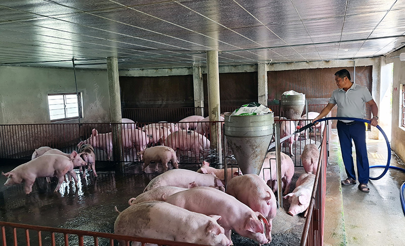 Nhiều hộ gia đình ở Quảng Ninh mạnh dạn đầu tư hệ thống chuồng trại chăn nuôi hiện đại.