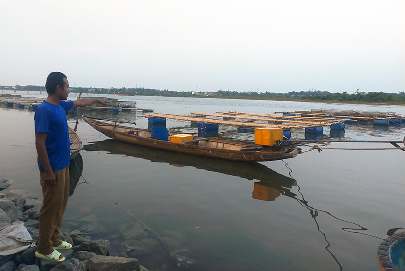 Theo các hộ dân, hàu chết là do ô nhiễm nguồn nước. 