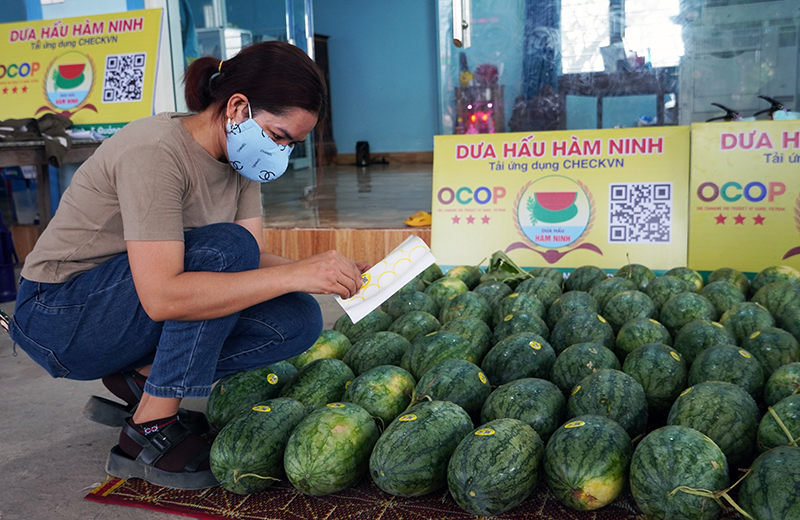 Dưa hấu Hàm Ninh được gắn tem truy xuất nguồn gốc, góp phần nâng cao giá trị sản phẩm.