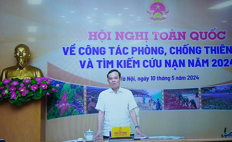 Đồng chí Phó Thủ tướng Chính phủ Trần Lưu Quang phát biểu kết luận hội nghị (Ảnh chụp qua màn hình).